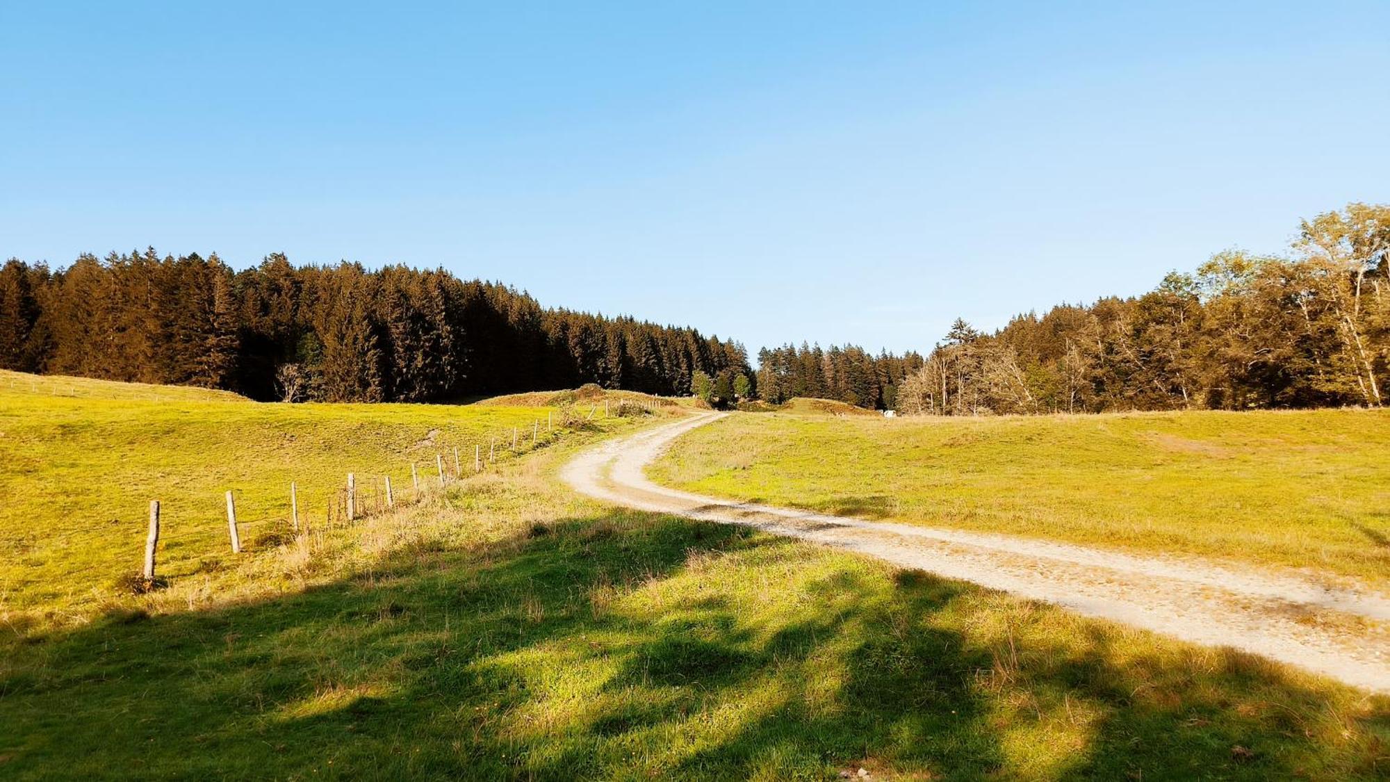 Fewo Allgaeuerle1605 Mit Hallenbad, Sauna, Tiefgarage Und Wlan Missen-Wilhams Exterior photo